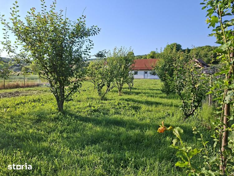 Casă cu 2 camere cu Teren 1350 Mp în Cozma