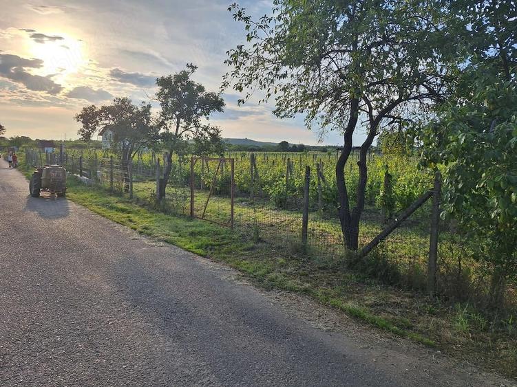 Teren de 2700 mp, în Valea Călugărească