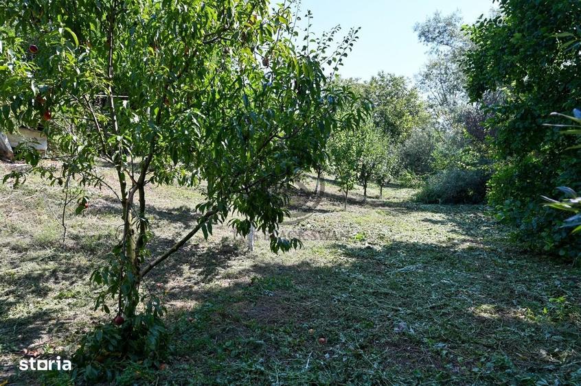 Casă cu 2 camere în Mănești