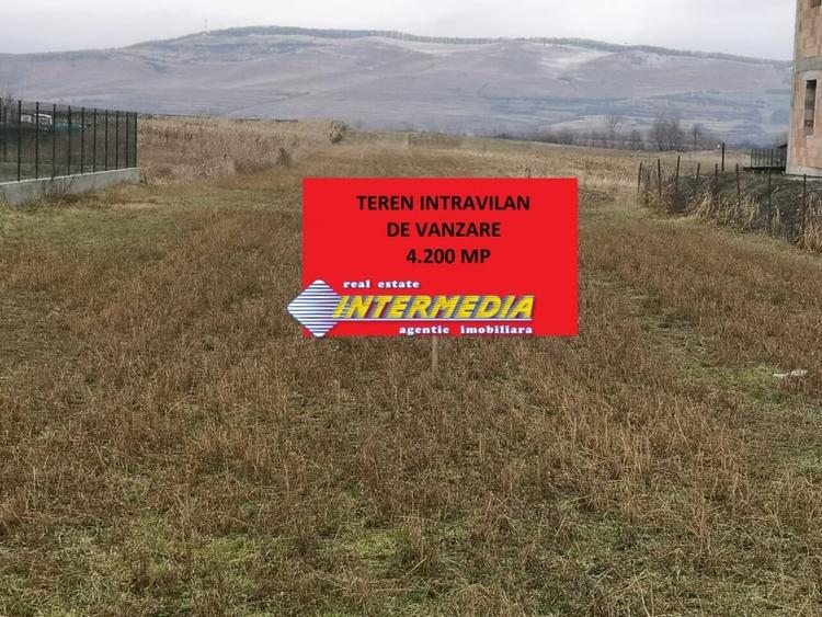 Teren Construcții intravilan de 4200 mp, în Cetate