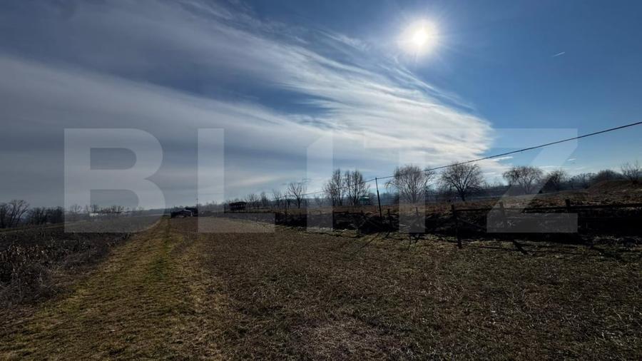 Teren agricol extravilan de 3100 mp, în Vințu de Jos