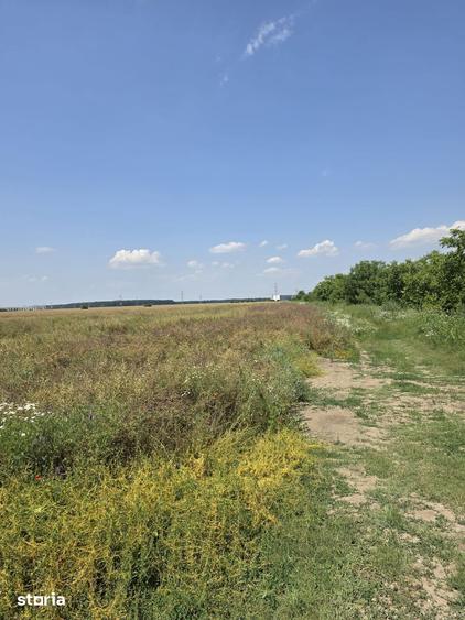 Teren de 2600 mp, în Ștefăneștii de Jos