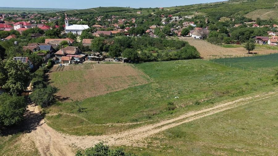 Teren de 928 mp, în Covăsinț