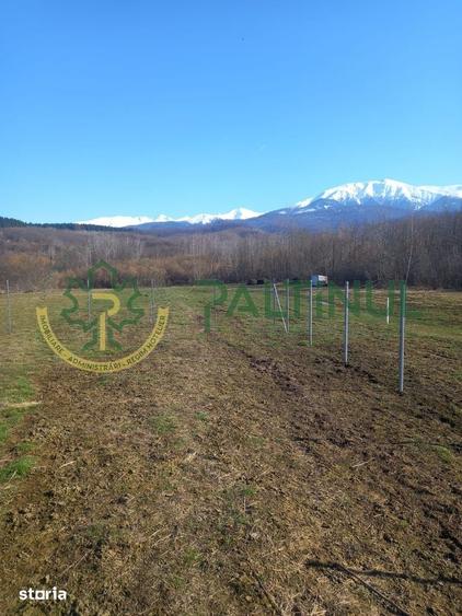 Teren de 1737 mp, în Chirpăr