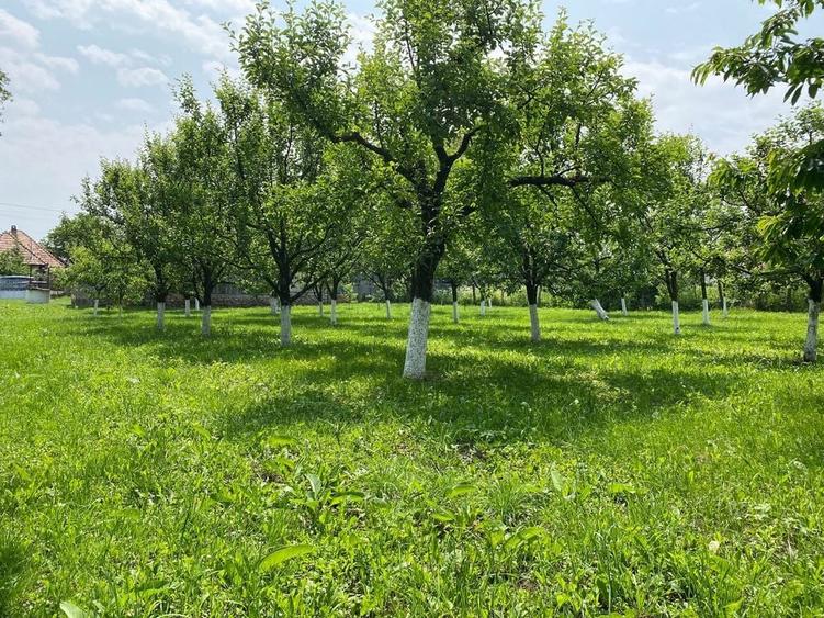 Teren de 2000 mp, în Aiton