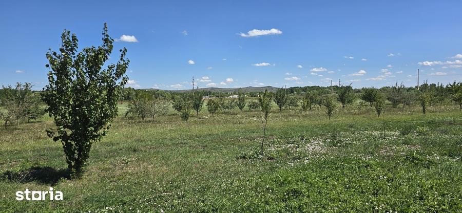 Teren in zona Rascruci ideal pentru hala, toate utilita?ile - 1