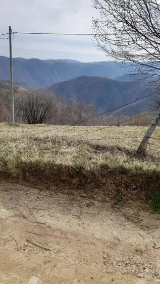 Teren de 2000 mp, în Dobra