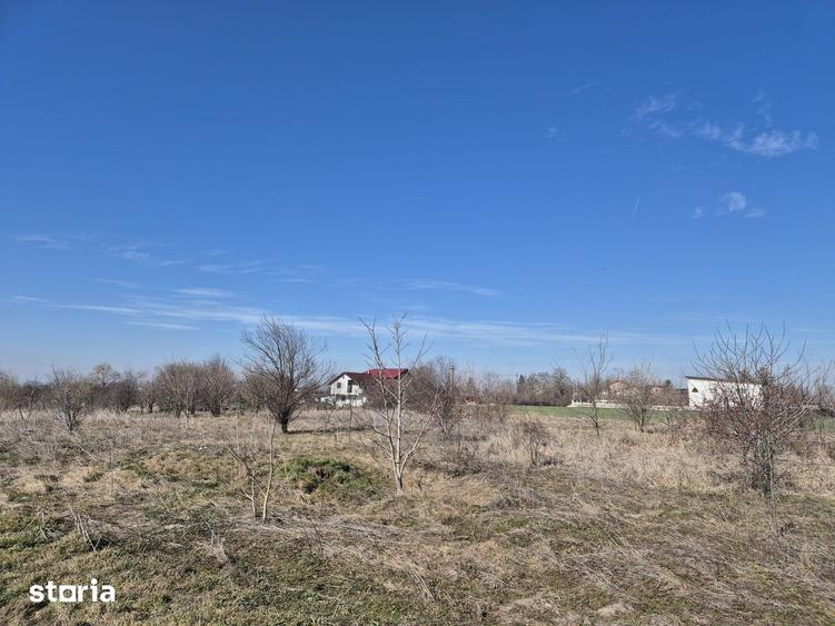 Trestieni - Ulmi, vanzare teren 1.663mp, intravilan - 3