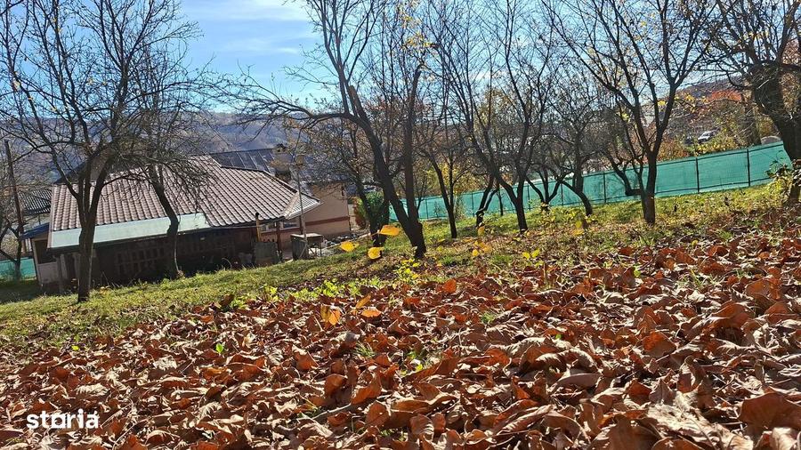 Casă cu 6 camere semidecomandat cu Teren 1400 Mp în Central