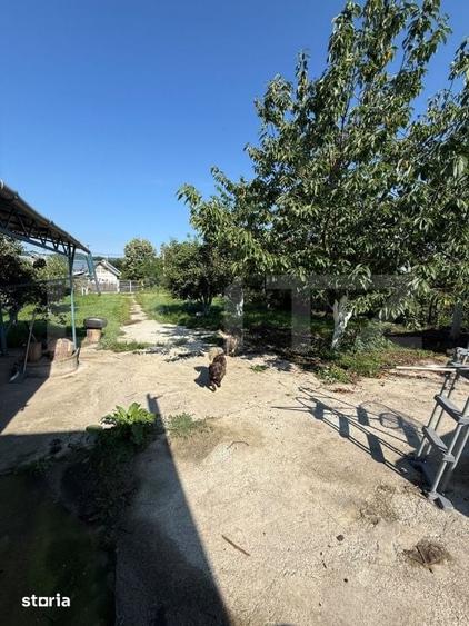 Casă cu 10 camere cu Teren 2714 Mp în Glod