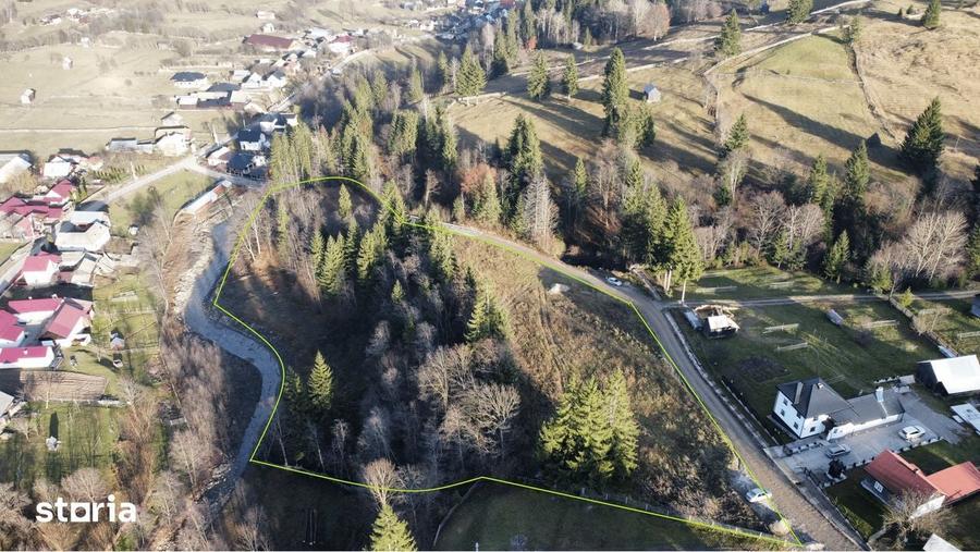 Vindem teren 7340 mp Vatra Moldovitei - Bucovina si parcelam in doua - 6