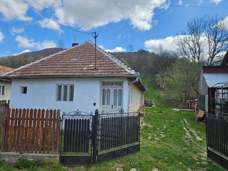 Casă individuală cu 4 camere cu Teren 1116 Mp în Valea Doftanei