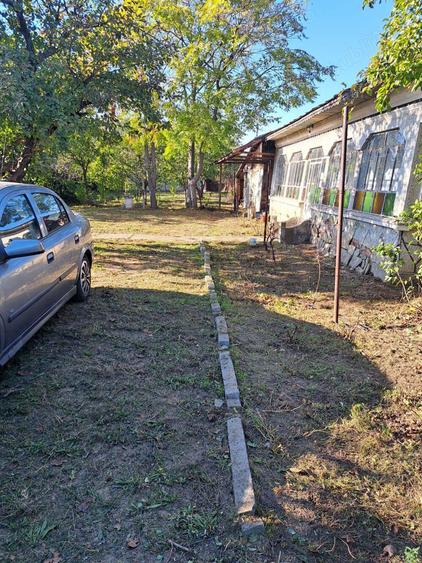 Teren de 800 mp, în Dărăști-Vlașca
