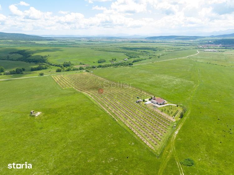 Teren de 68800 mp, în Dumbrăvița