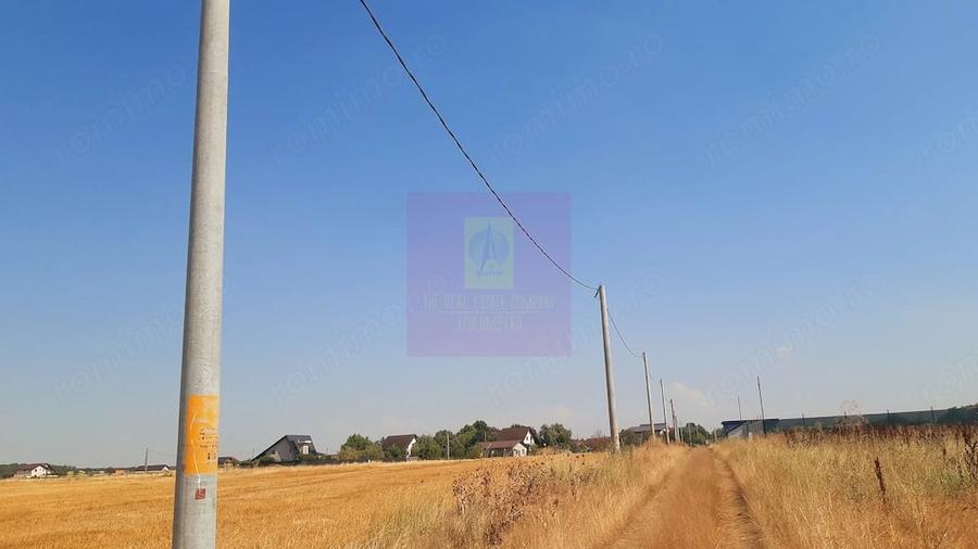 Teren de 2000 mp, în Brănești
