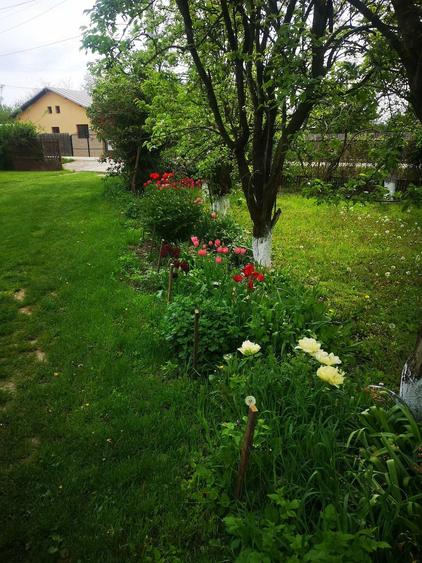 Casă cu Teren 1504 Mp în Puchenii Mari