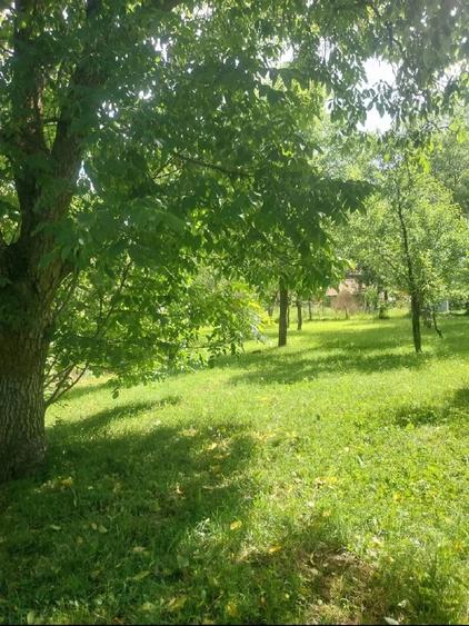 Teren de 1000 mp, în Podul Lung