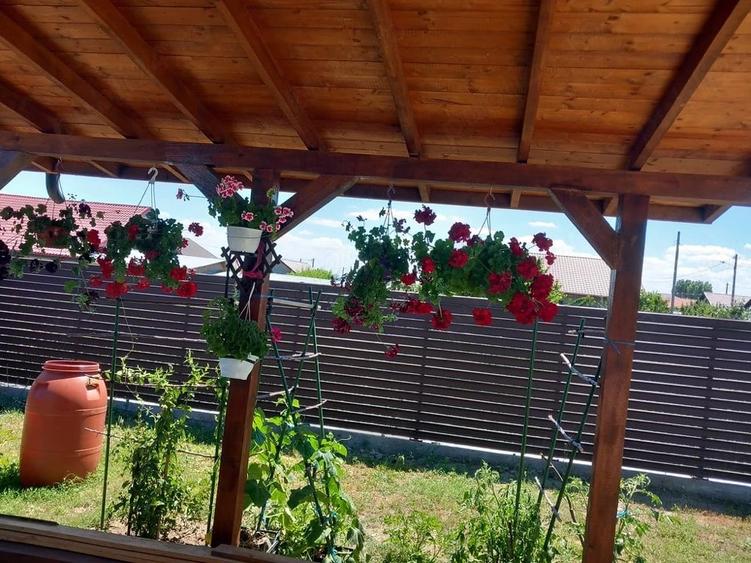 Casă cu Teren 400 Mp în Tulucești