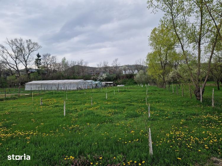 Teren de 1809 mp, în Moțăieni
