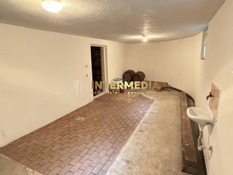 Casă individuală cu 10 camere cu Teren 4100 Mp în Vințu de Jos