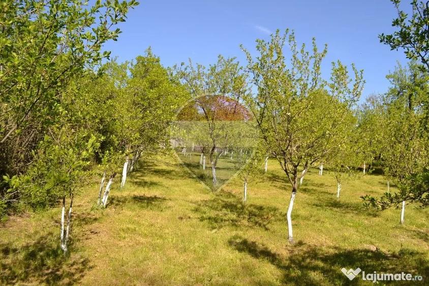 Casă cu 5 camere cu Teren 1842 Mp în Boboci