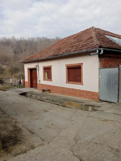 Casă cu Teren 2500 Mp în Globu Craiovei
