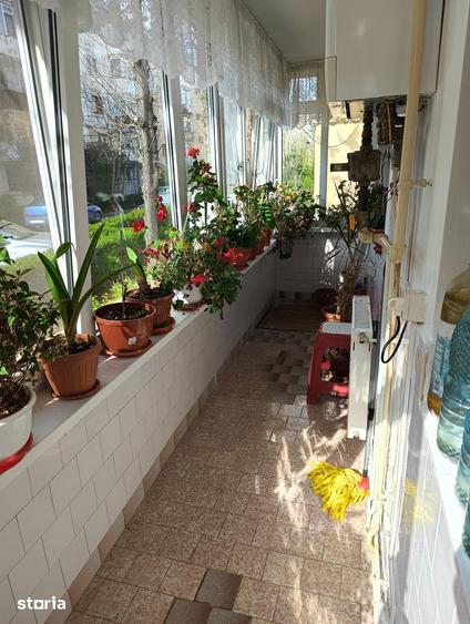 Apartament cu 3 camere decomandat în Banat