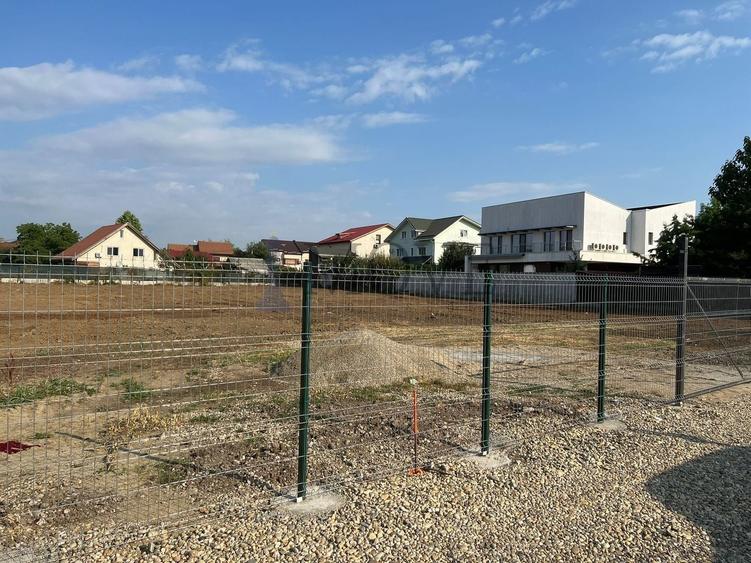Teren Construcții intravilan de 3903 mp, în Mogoșoaia