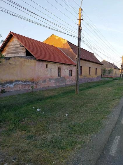 Casă cu Teren 2158 Mp în Comloșu Mare