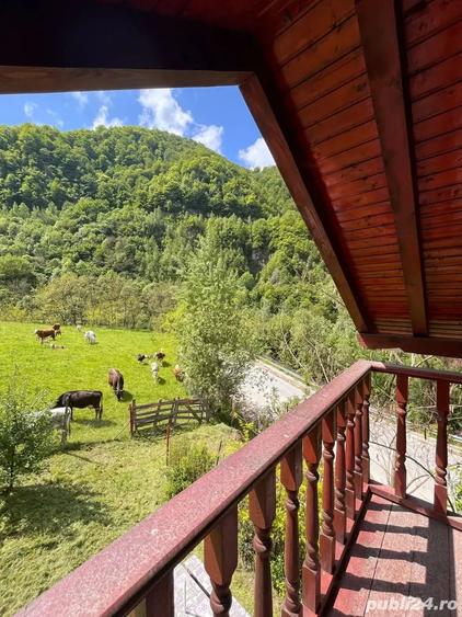 Casă cu 4 camere cu Teren 1500 Mp în Dobra