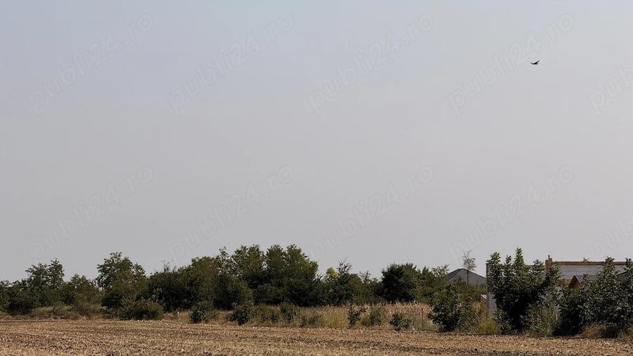 Teren de 1200 mp, în Tăbărăști