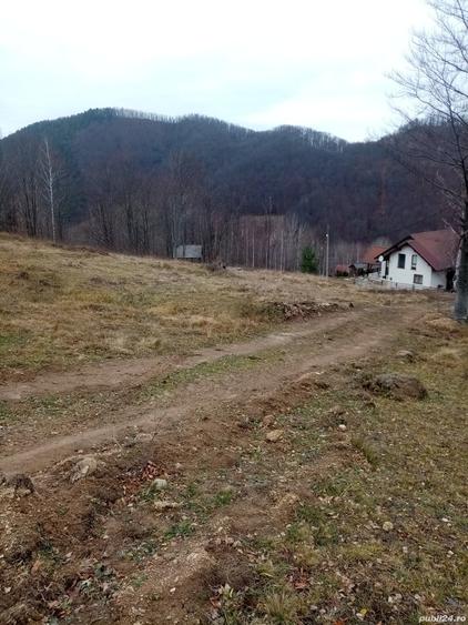 Teren de 10000 mp, în Lepșa