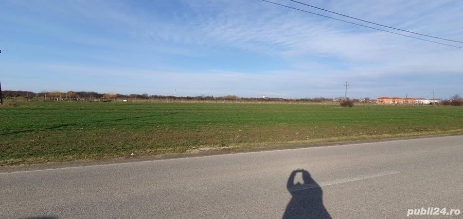Teren de 5300 mp, în Odoreu