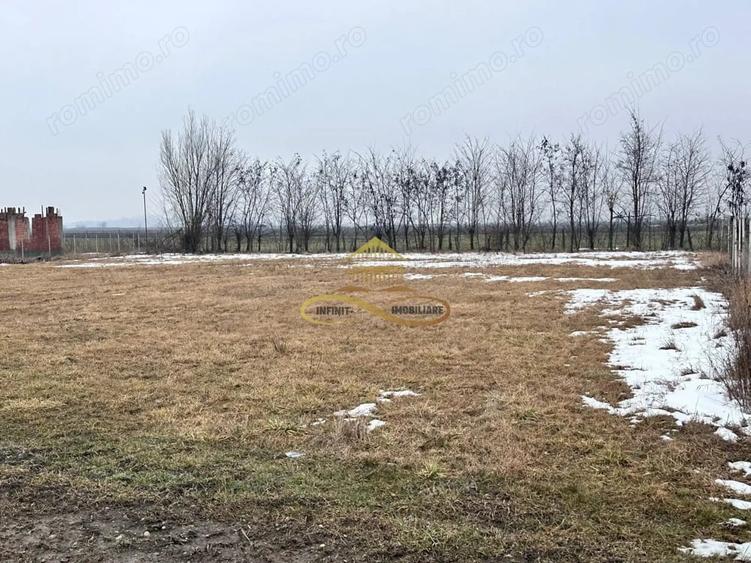 Teren de 900 mp, în Săucești