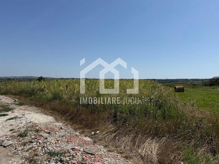 Teren de 5800 mp, în Jucu