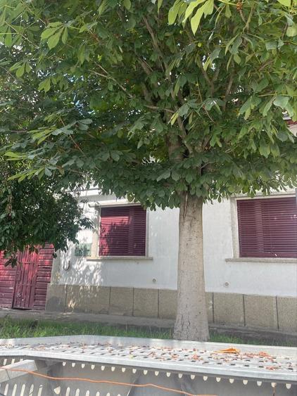 Casă cu Teren 1726 Mp în Central