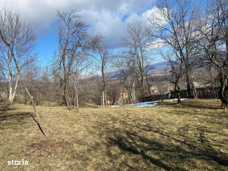Teren de 2423 mp, în Talea