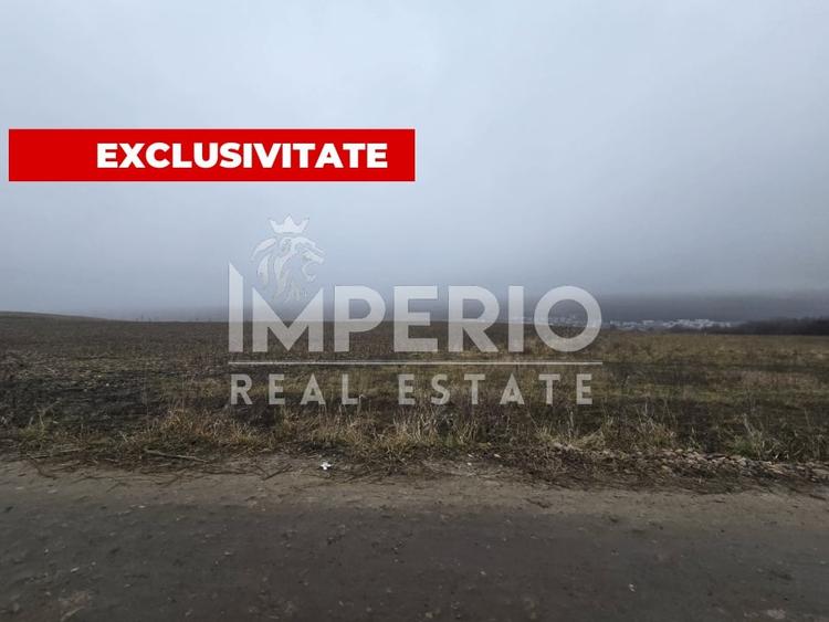 Teren agricol intravilan de 41233 mp, în Iris