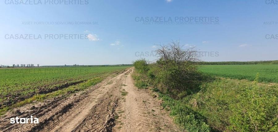 Teren de 33000 mp, în Răcari