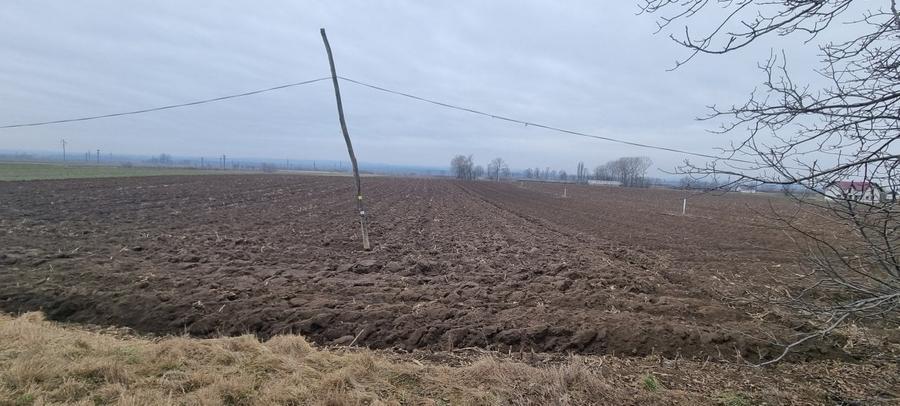 Teren Construcții intravilan de 2.3099999427795 mp, în Bucecea