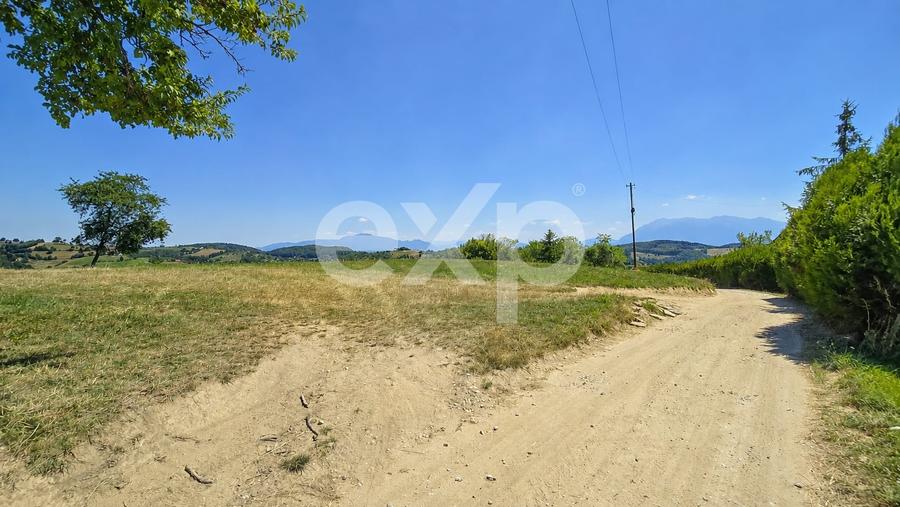 Teren agricol extravilan de 8544 mp, în Poiana Mărului