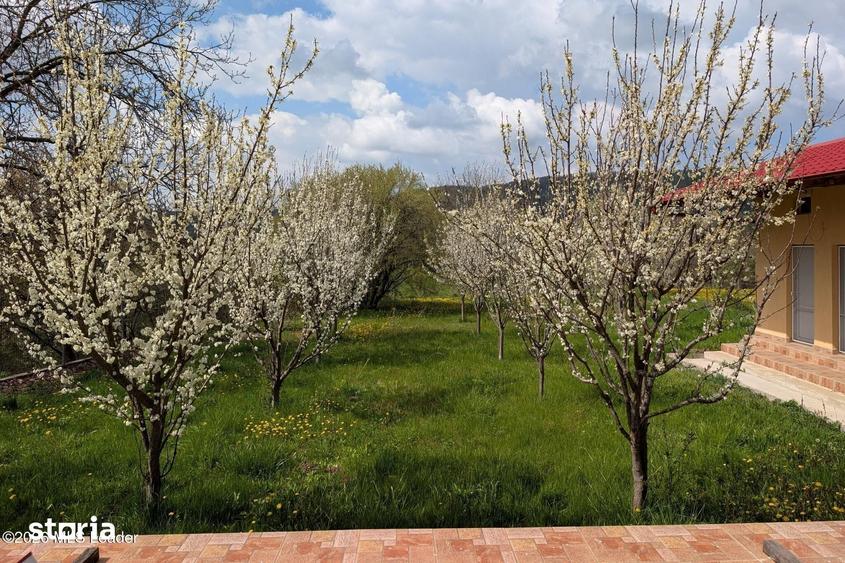 Casă cu 8 camere cu Teren 2063 Mp în Bălilești