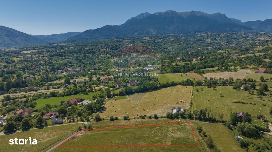 Teren Bran -Sohodol, Strada La mesteceni, 6900mp