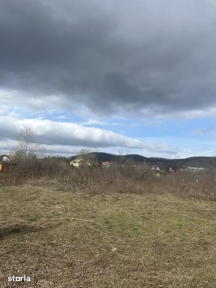 BANESTI - teren intravilan - 1035mp - 50 Euro/mp - 1