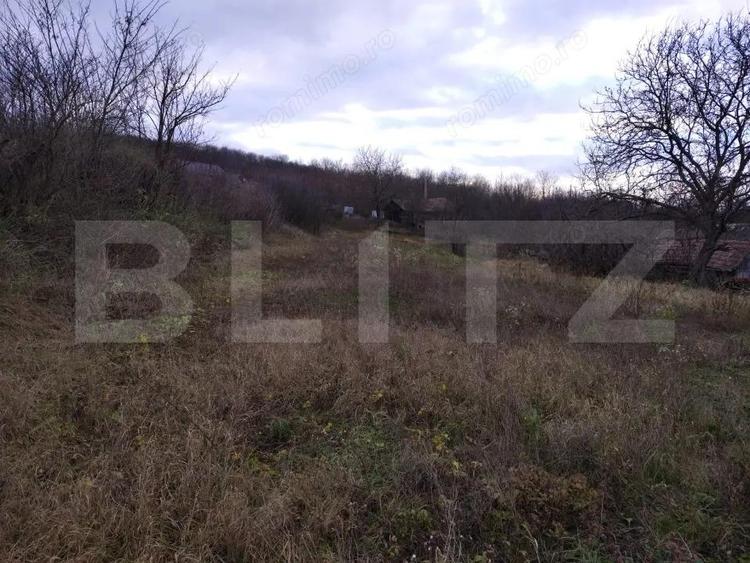 Casă cu Teren 2460 Mp în Cojocna