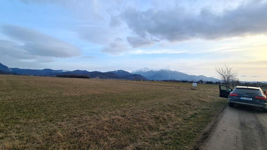 Teren extravilan de 5000 mp, în Pănicel