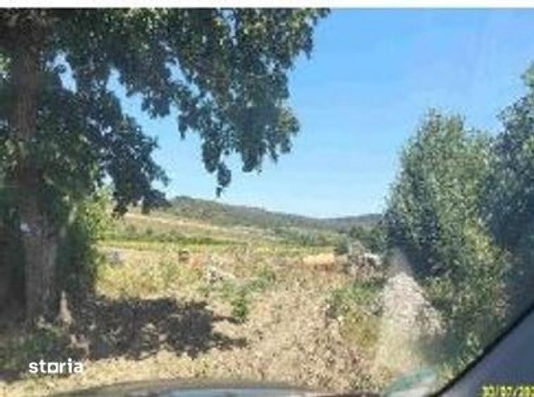 Casă cu 4 camere cu Teren 8266 Mp în Bogdand