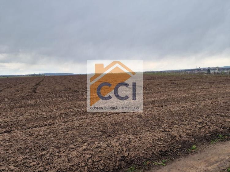Teren agricol intravilan de 10000 mp, în Vest