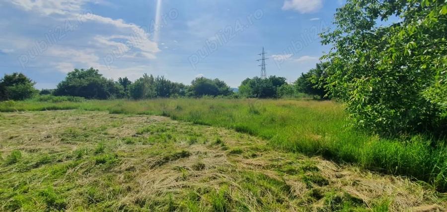 Teren de 3600 mp, în Central