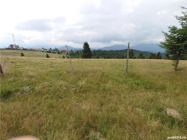 Teren de 7000 mp, în Piatra